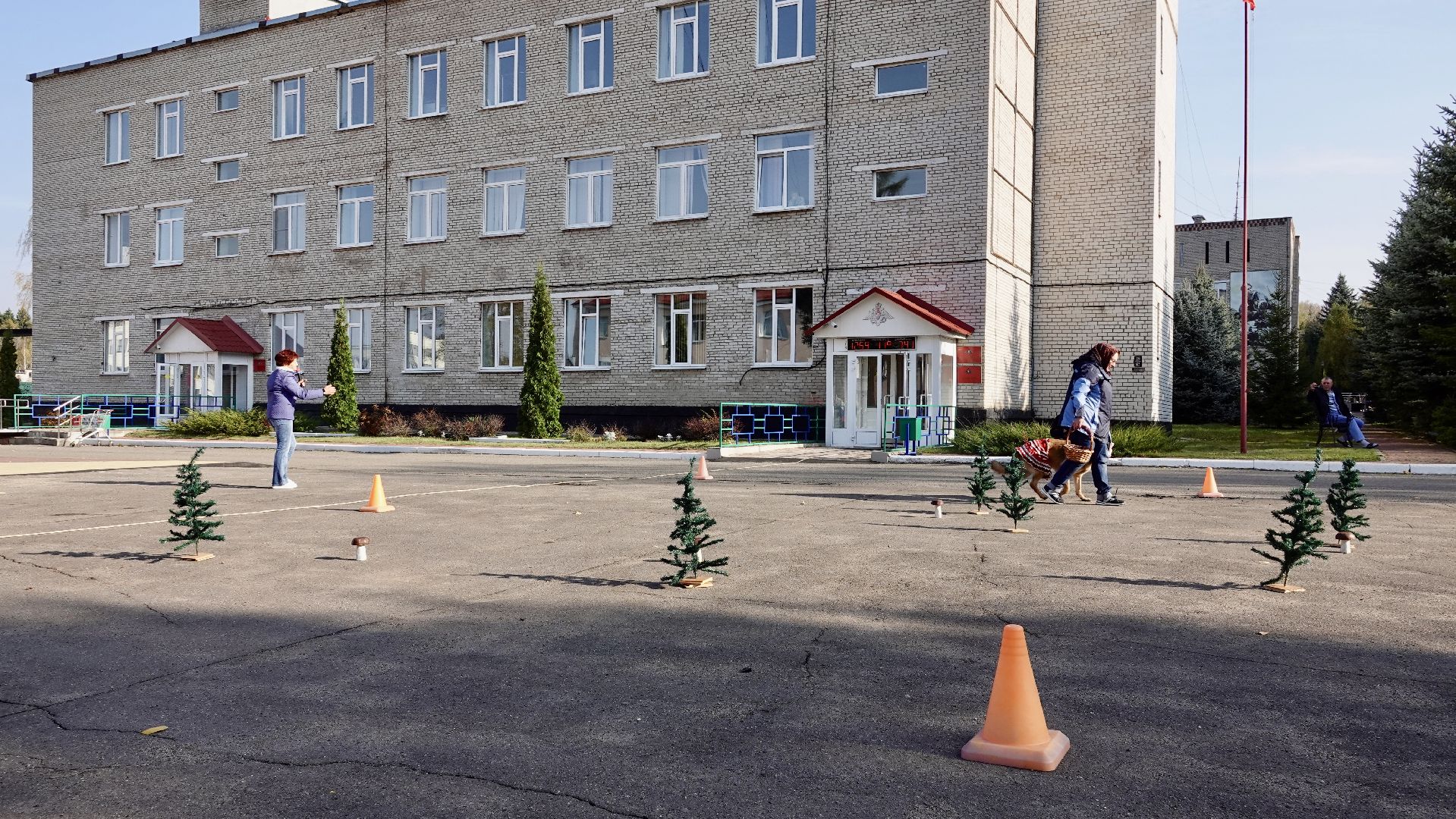 Военный госпиталь, Сергиев Посад, Кинологический центр, Собаки, Медицина, Психология, Сергиево-Посадский городской округ,