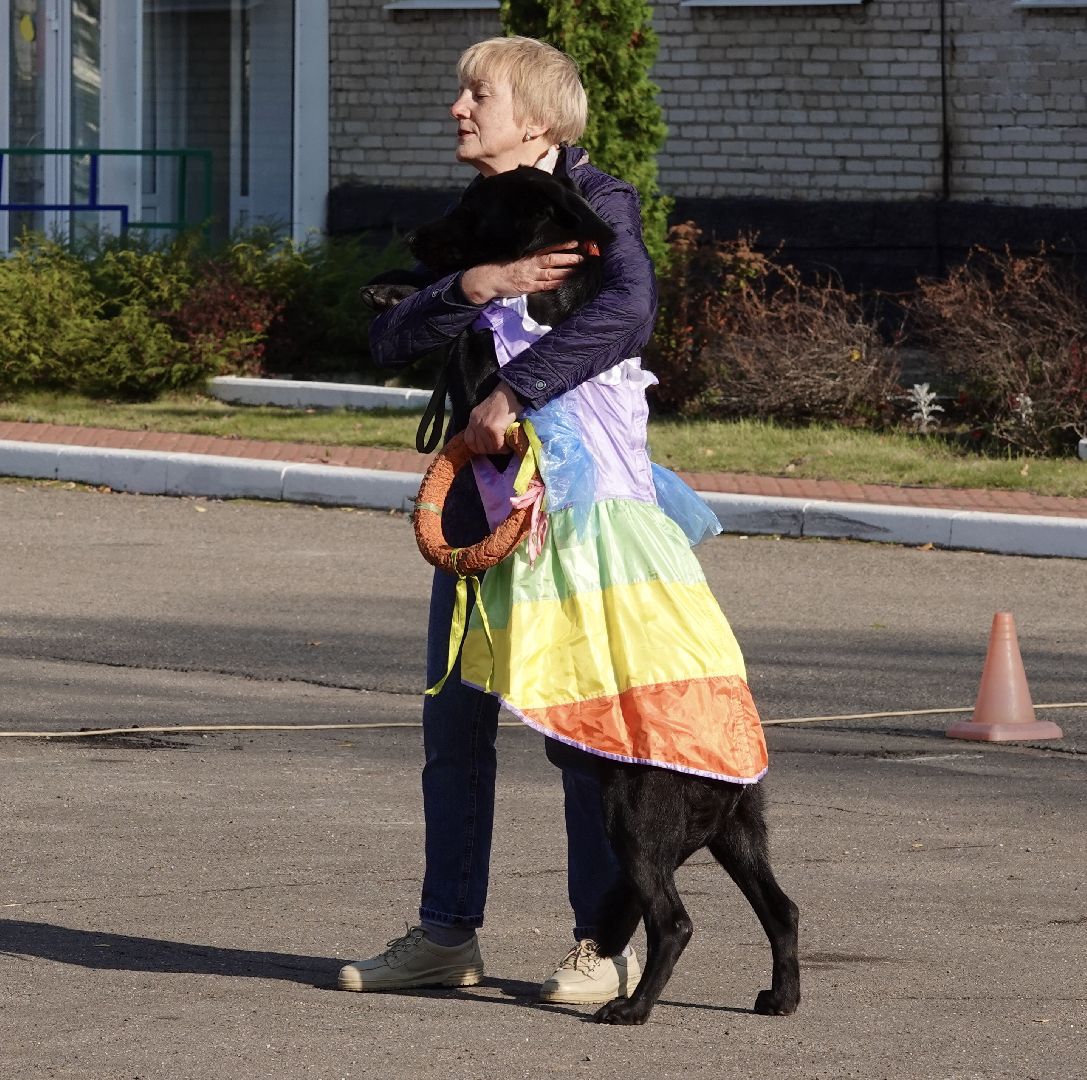 Военный госпиталь, Сергиев Посад, Кинологический центр, Собаки, Медицина, Психология, Сергиево-Посадский городской округ,