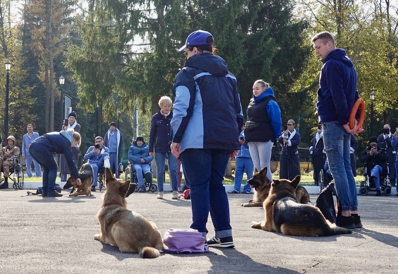 Военный госпиталь, Сергиев Посад, Кинологический центр, Собаки, Медицина, Психология, Сергиево-Посадский городской округ,