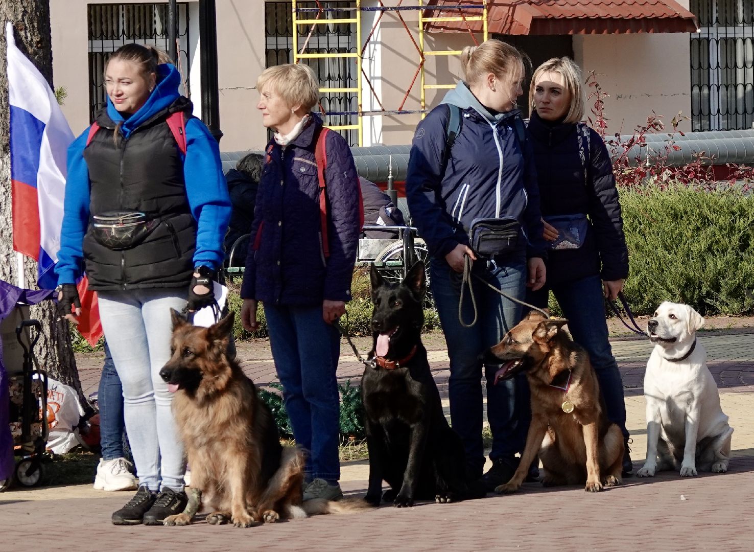 Военный госпиталь, Сергиев Посад, Кинологический центр, Собаки, Медицина, Психология, Сергиево-Посадский городской округ,