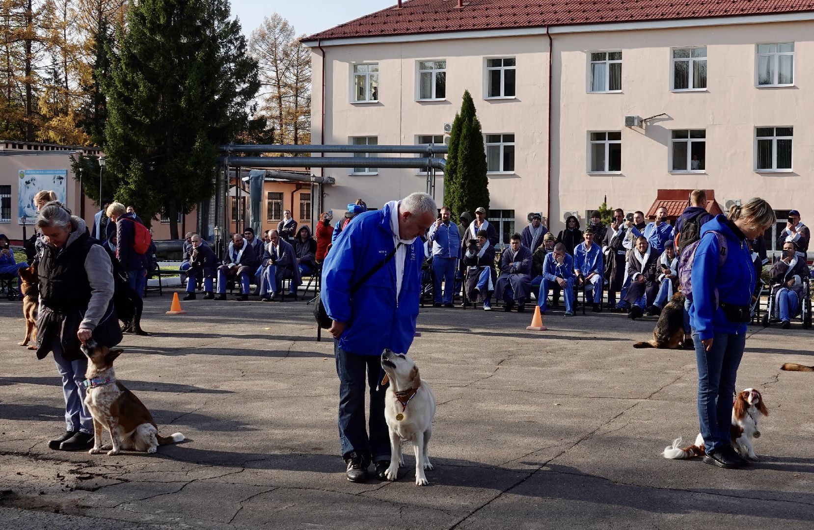 Военный госпиталь, Сергиев Посад, Кинологический центр, Собаки, Медицина, Психология, Сергиево-Посадский городской округ,