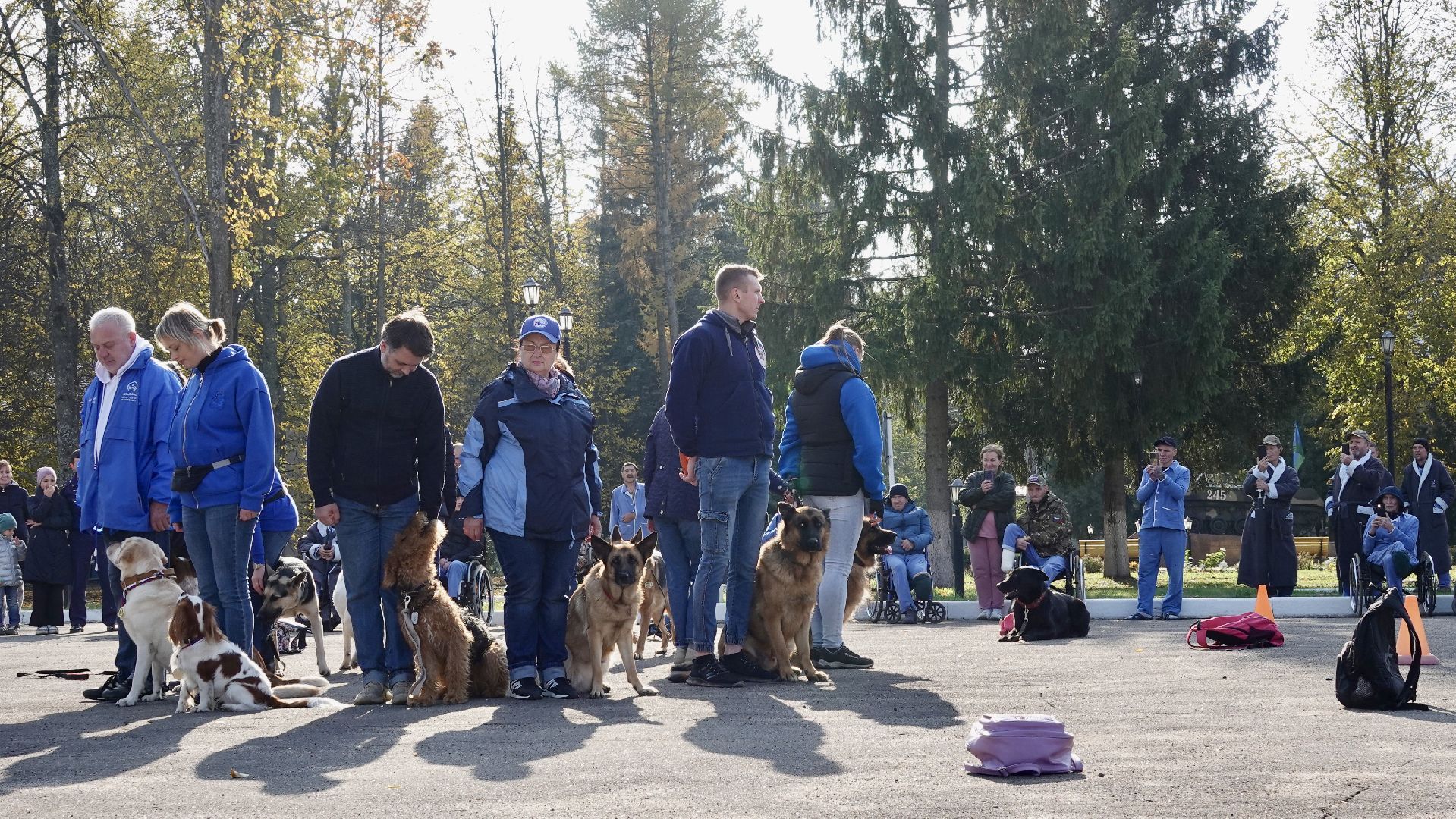 Военный госпиталь, Сергиев Посад, Кинологический центр, Собаки, Медицина, Психология, Сергиево-Посадский городской округ,
