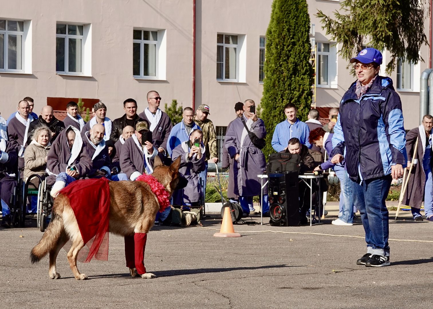 Военный госпиталь, Сергиев Посад, Кинологический центр, Собаки, Медицина, Психология, Сергиево-Посадский городской округ,