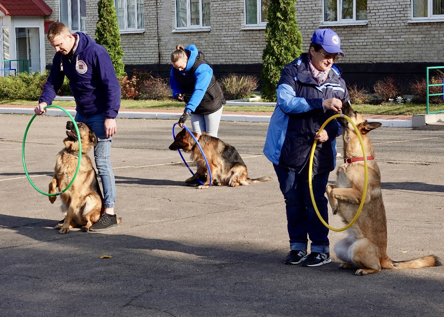 Военный госпиталь, Сергиев Посад, Кинологический центр, Собаки, Медицина, Психология, Сергиево-Посадский городской округ,