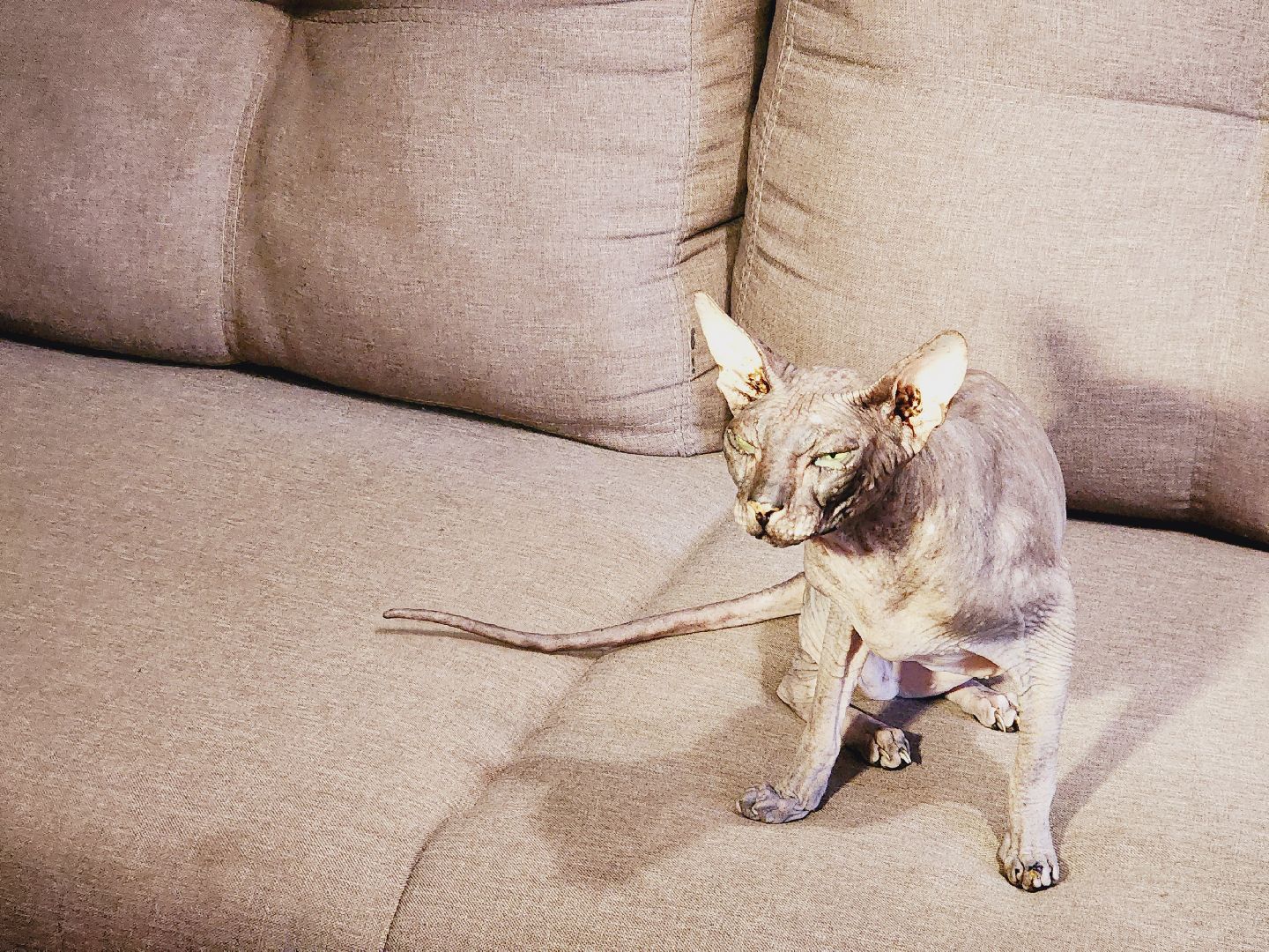 Егорьевск, Подмосковье, Московская область, ЖКХ, теплосети,