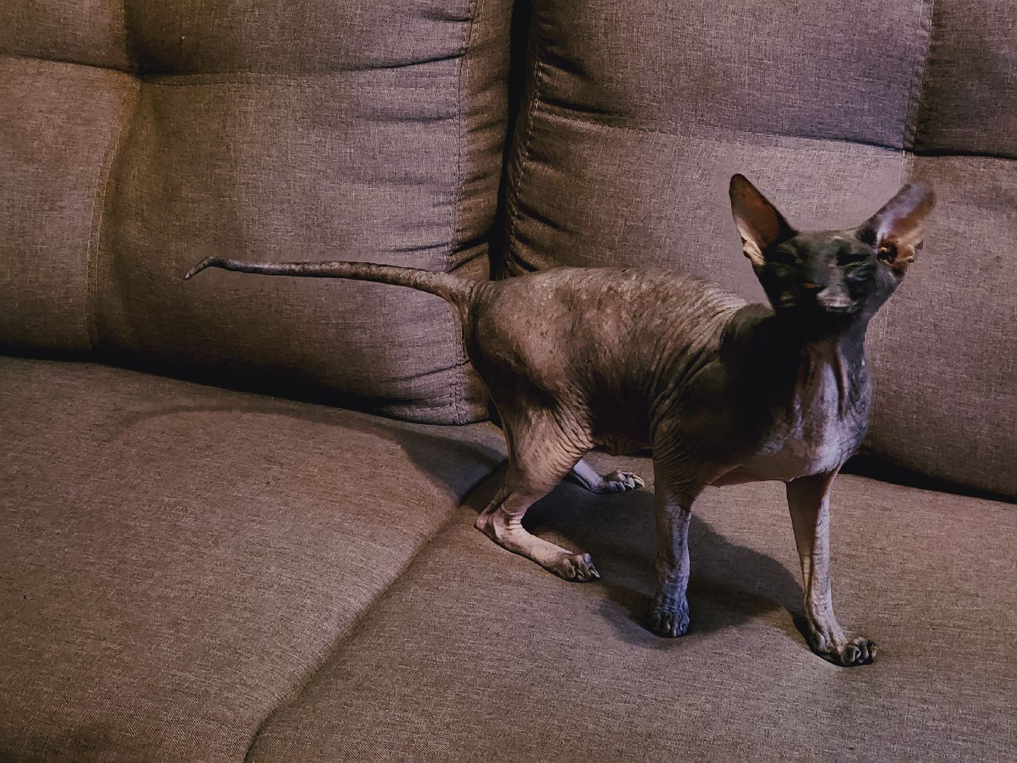 Егорьевск, Подмосковье, Московская область, ЖКХ, теплосети,