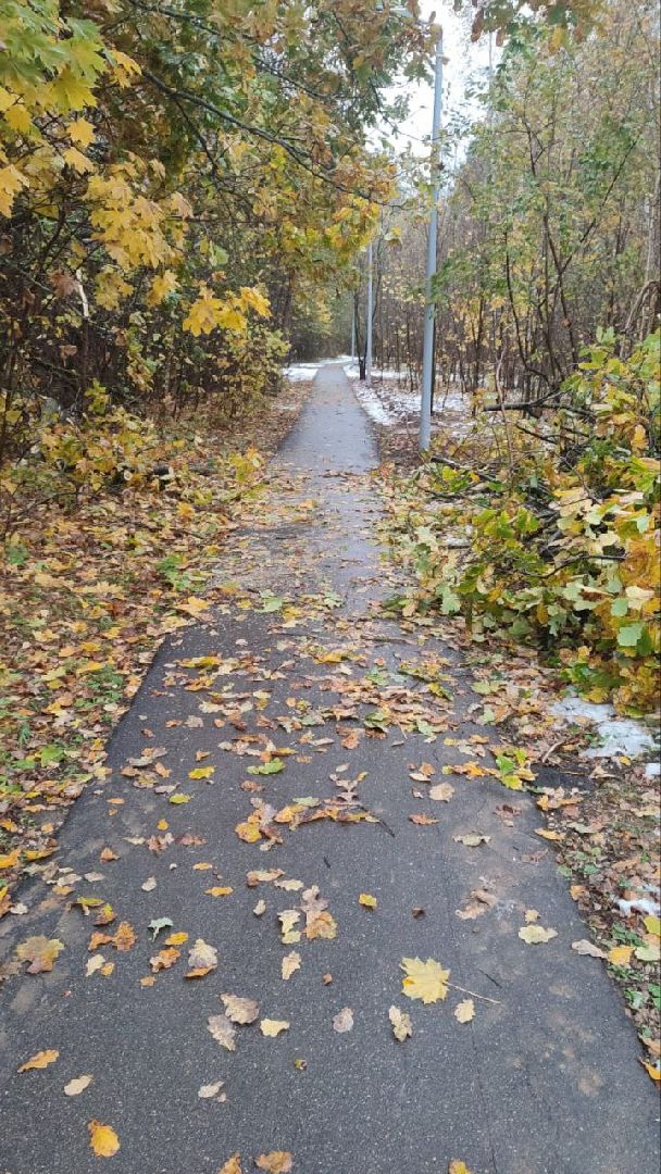 пущино, благоустойство, серпухов, циклон, снег,