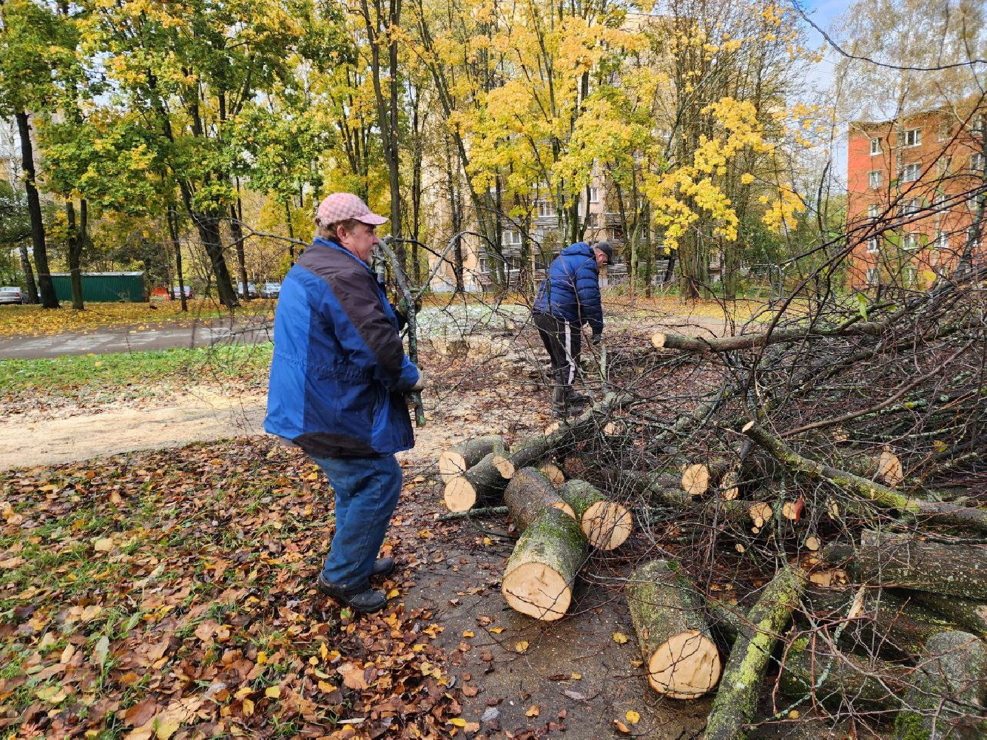 пущино, благоустойство, серпухов, циклон, снег,
