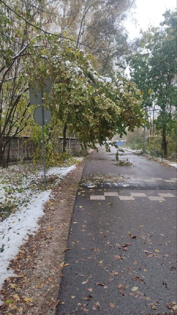 пущино, благоустойство, серпухов, циклон, снег,