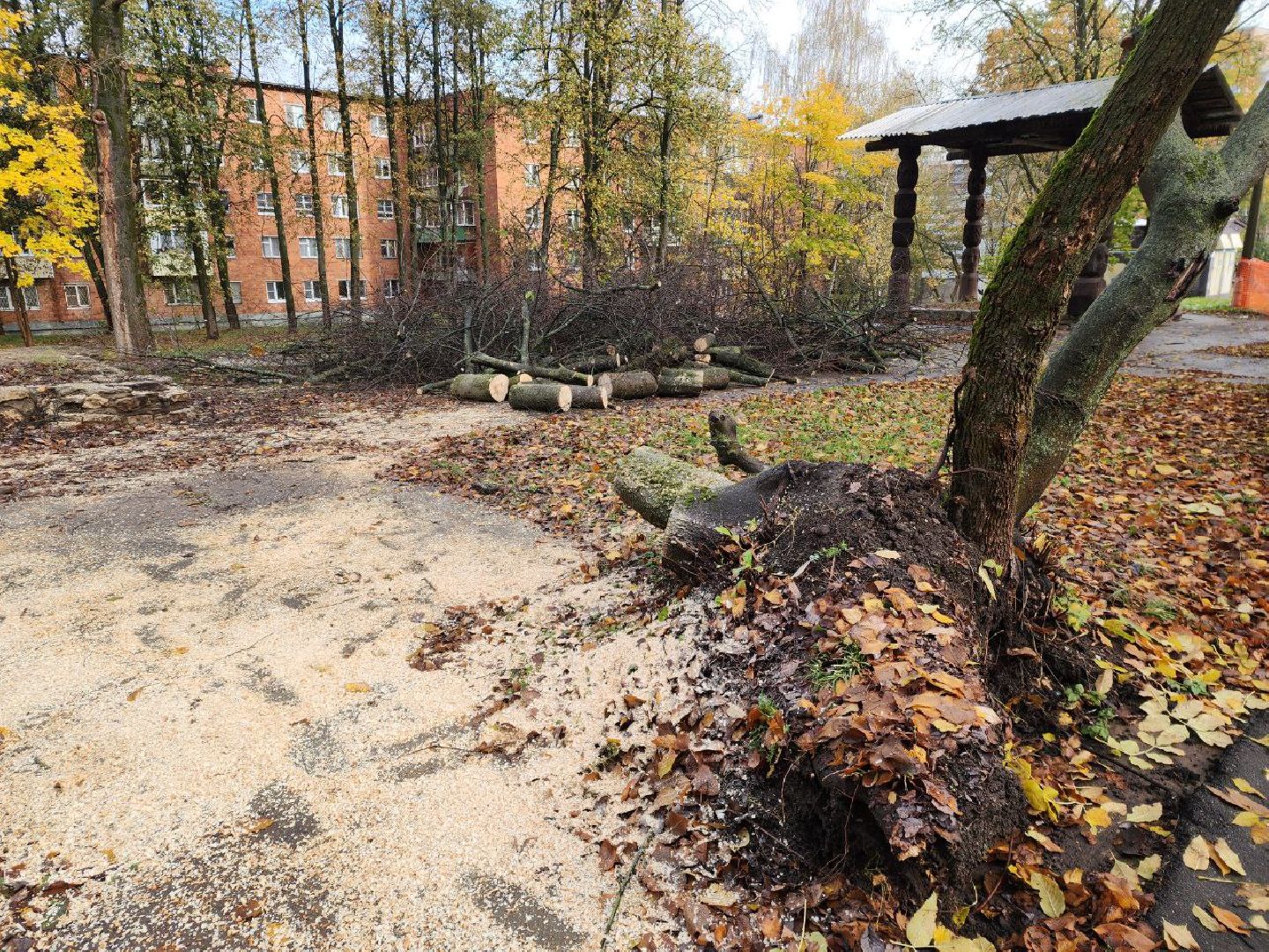 пущино, благоустойство, серпухов, циклон, снег,