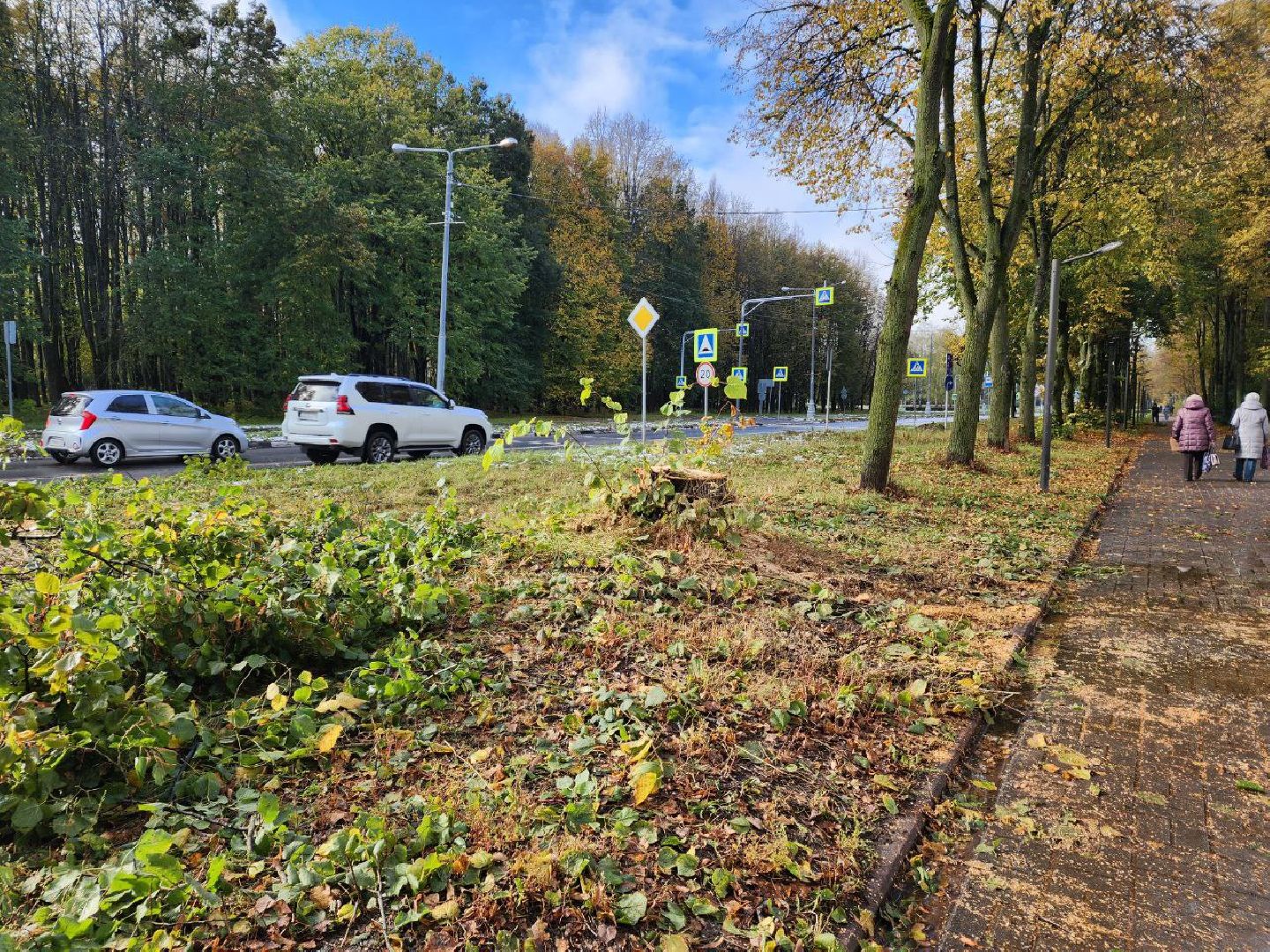 пущино, благоустойство, серпухов, циклон, снег,