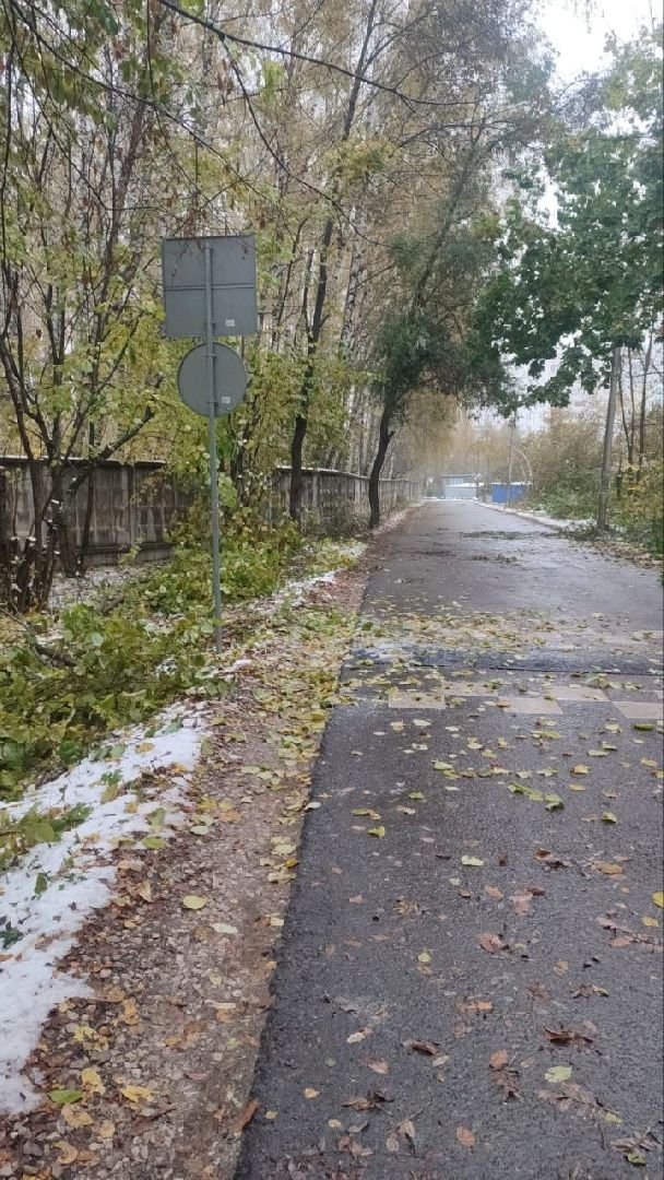 пущино, благоустойство, серпухов, циклон, снег,