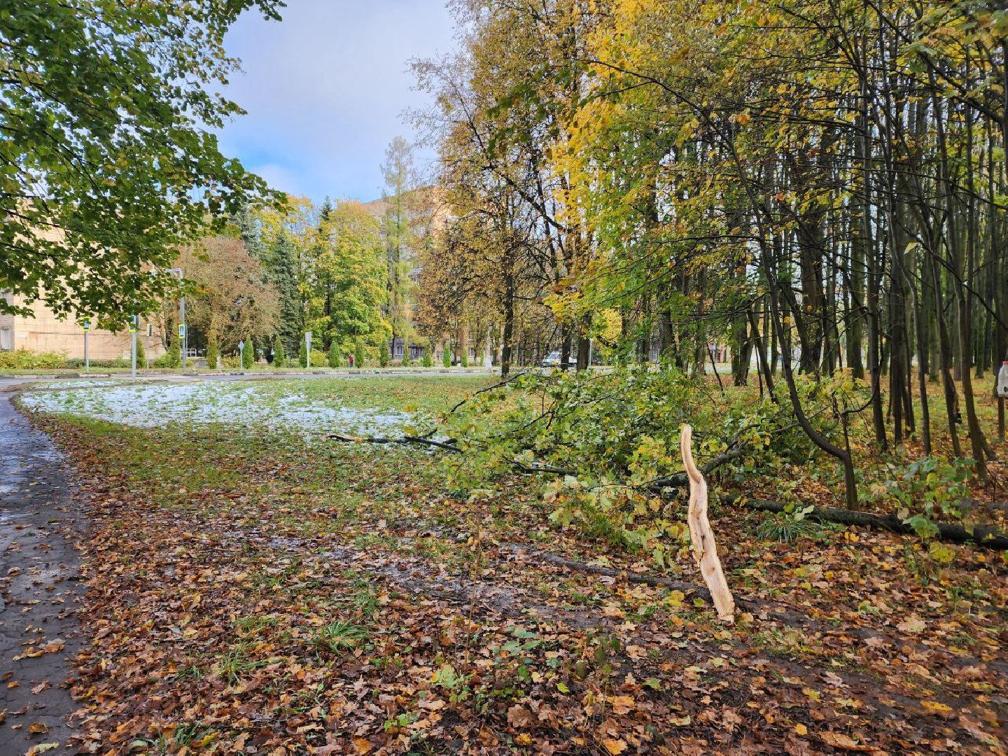 пущино, благоустойство, серпухов, циклон, снег,