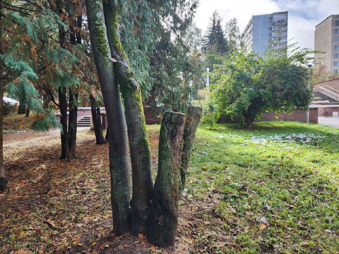 пущино, благоустойство, серпухов, циклон, снег,