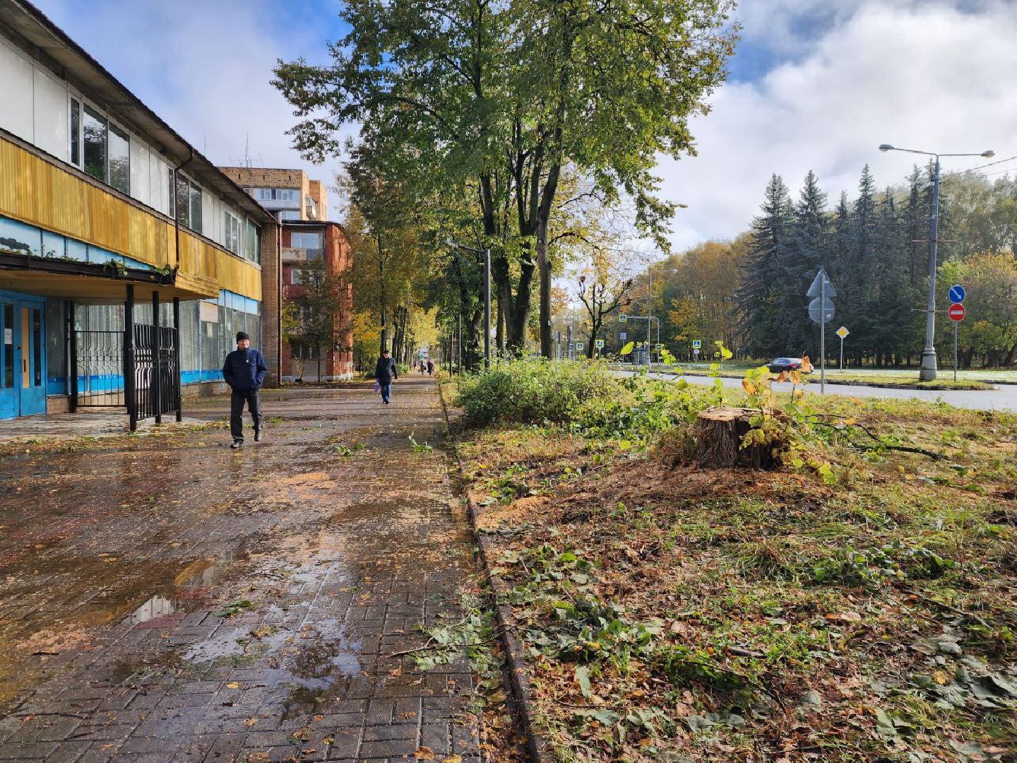 пущино, благоустойство, серпухов, циклон, снег,