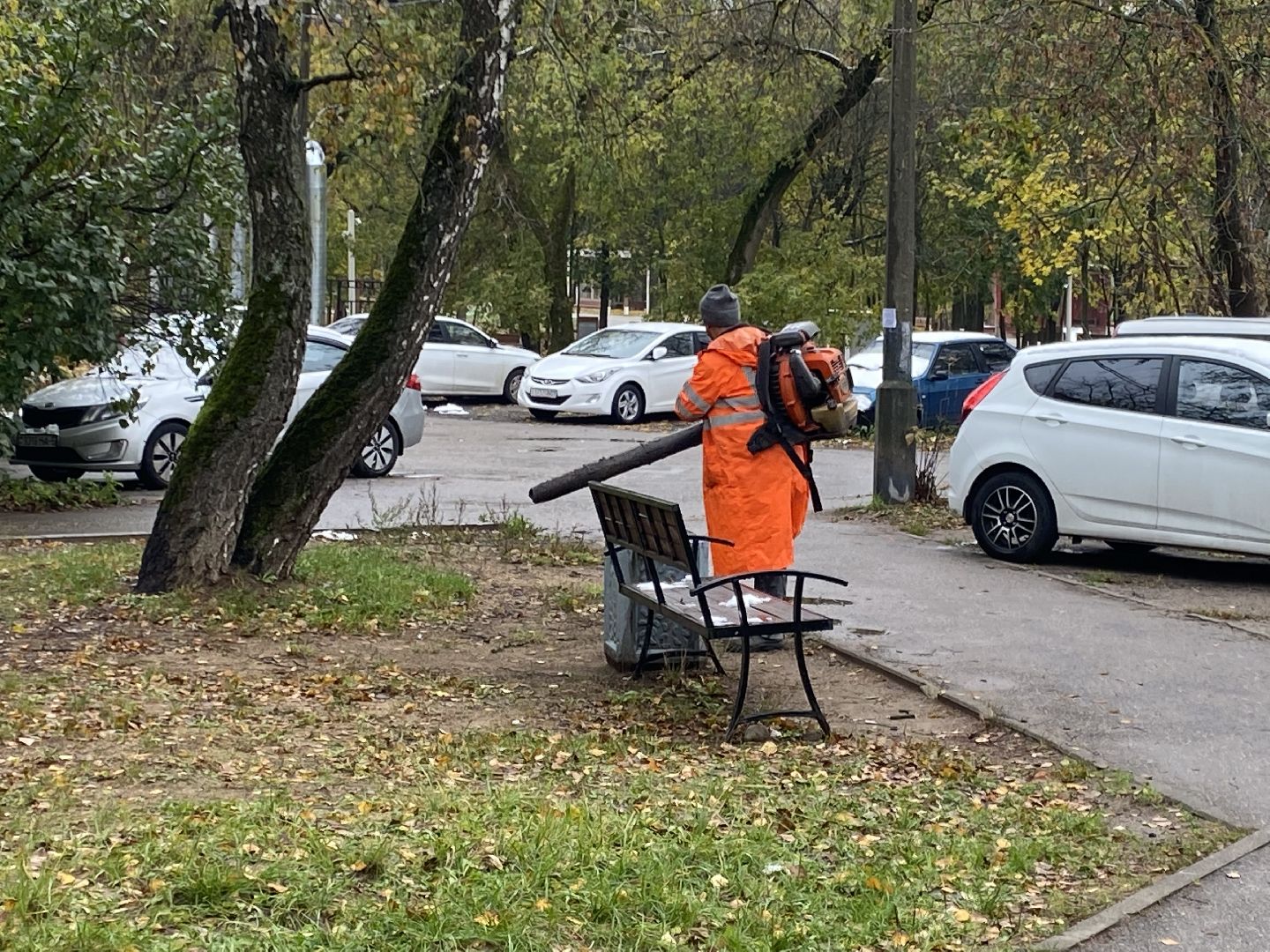 Осень, Уборка листьев, Уборка дорог,