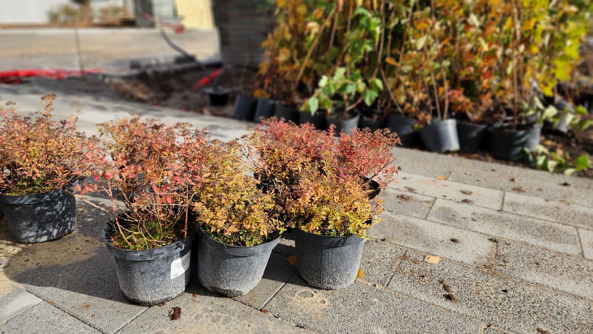 площадь у старта, ремонт, протвино, плиточное покрытие, благоустройство,