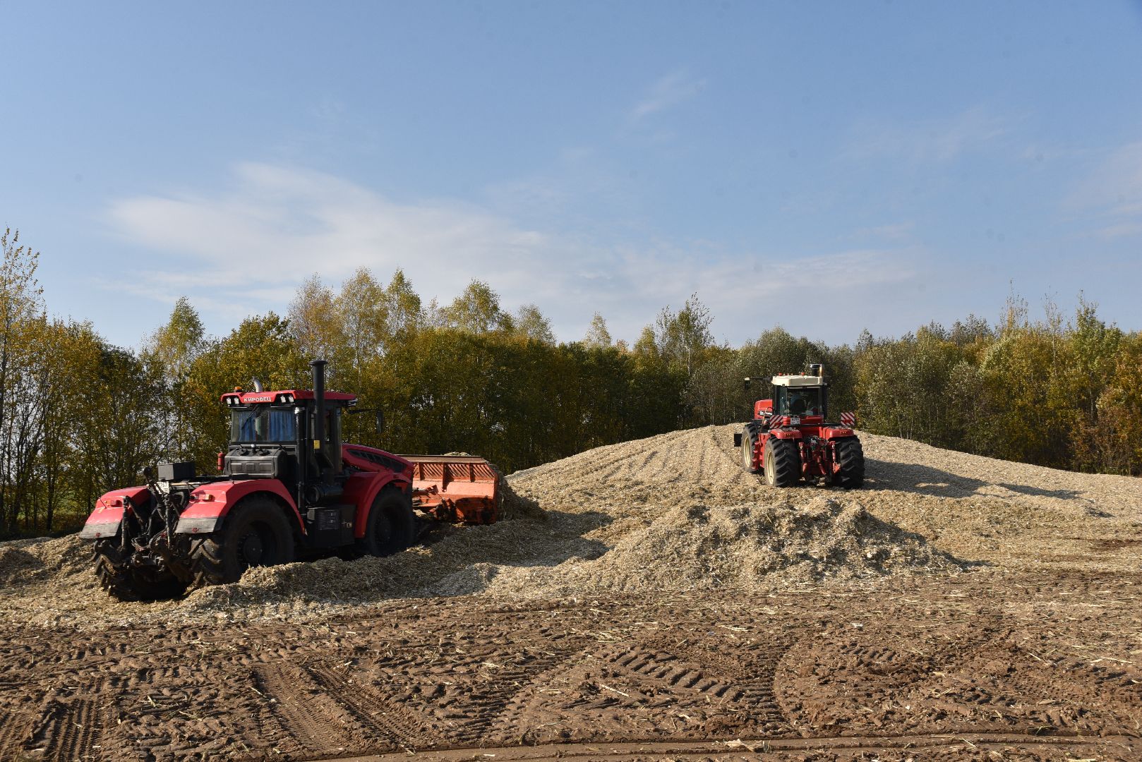 лотошино, сельское хозяйство, заготовка кормов,