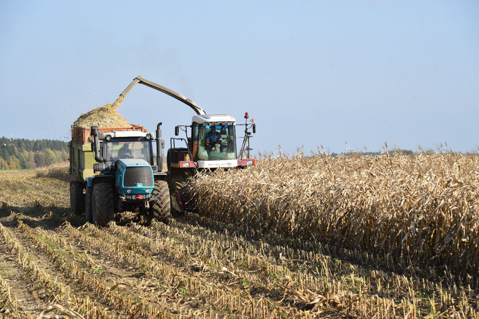 лотошино, сельское хозяйство, заготовка кормов,