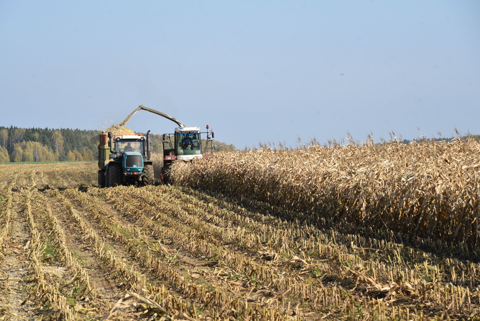 лотошино, сельское хозяйство, заготовка кормов,