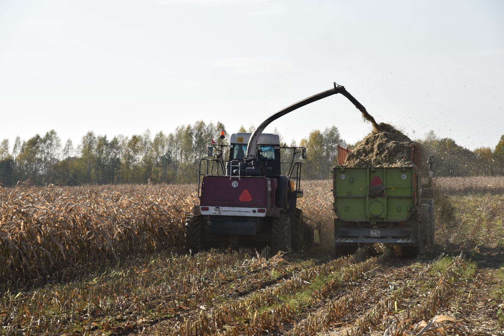 лотошино, сельское хозяйство, заготовка кормов,