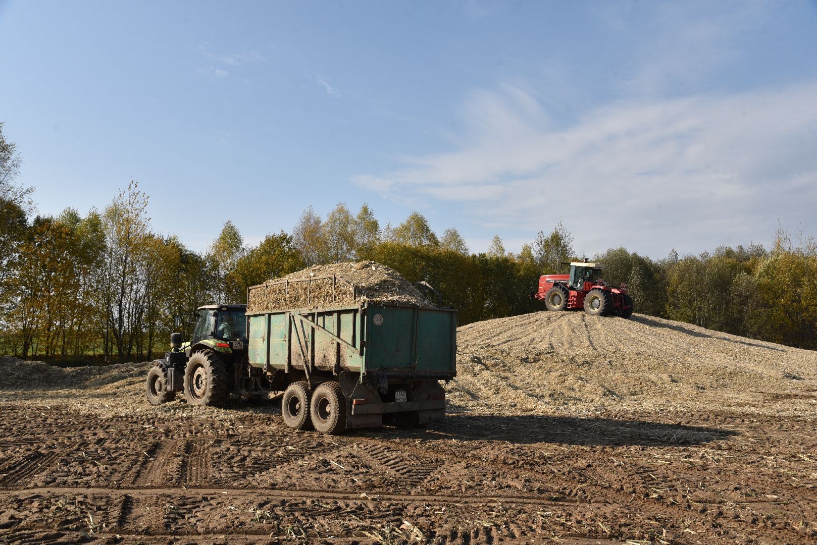 лотошино, сельское хозяйство, заготовка кормов,