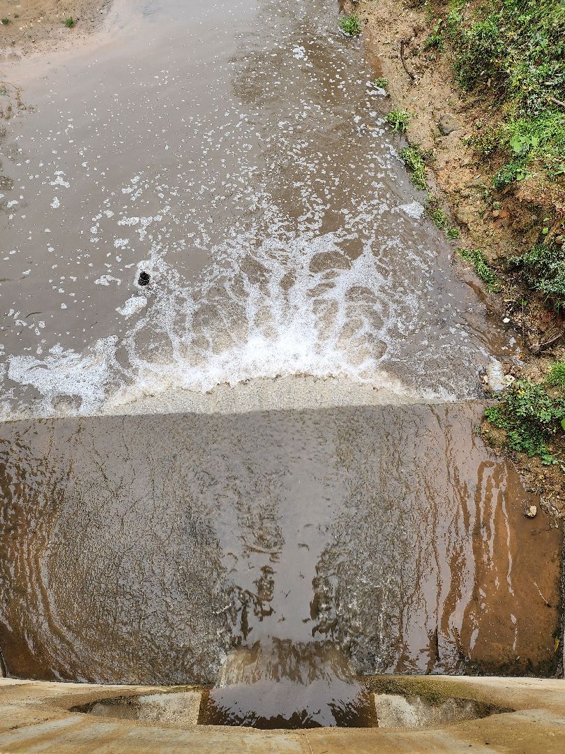одинцово, глазынинский пруд, губкинский пруд, экология, загрязнение,