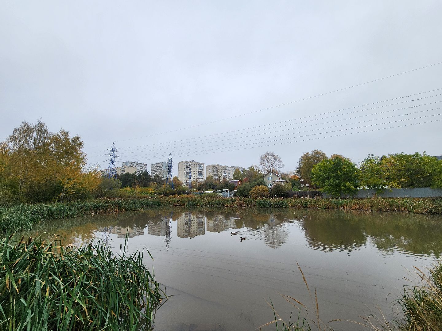 одинцово, глазынинский пруд, губкинский пруд, экология, загрязнение,