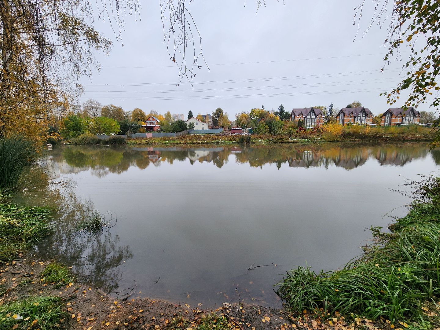 одинцово, глазынинский пруд, губкинский пруд, экология, загрязнение,