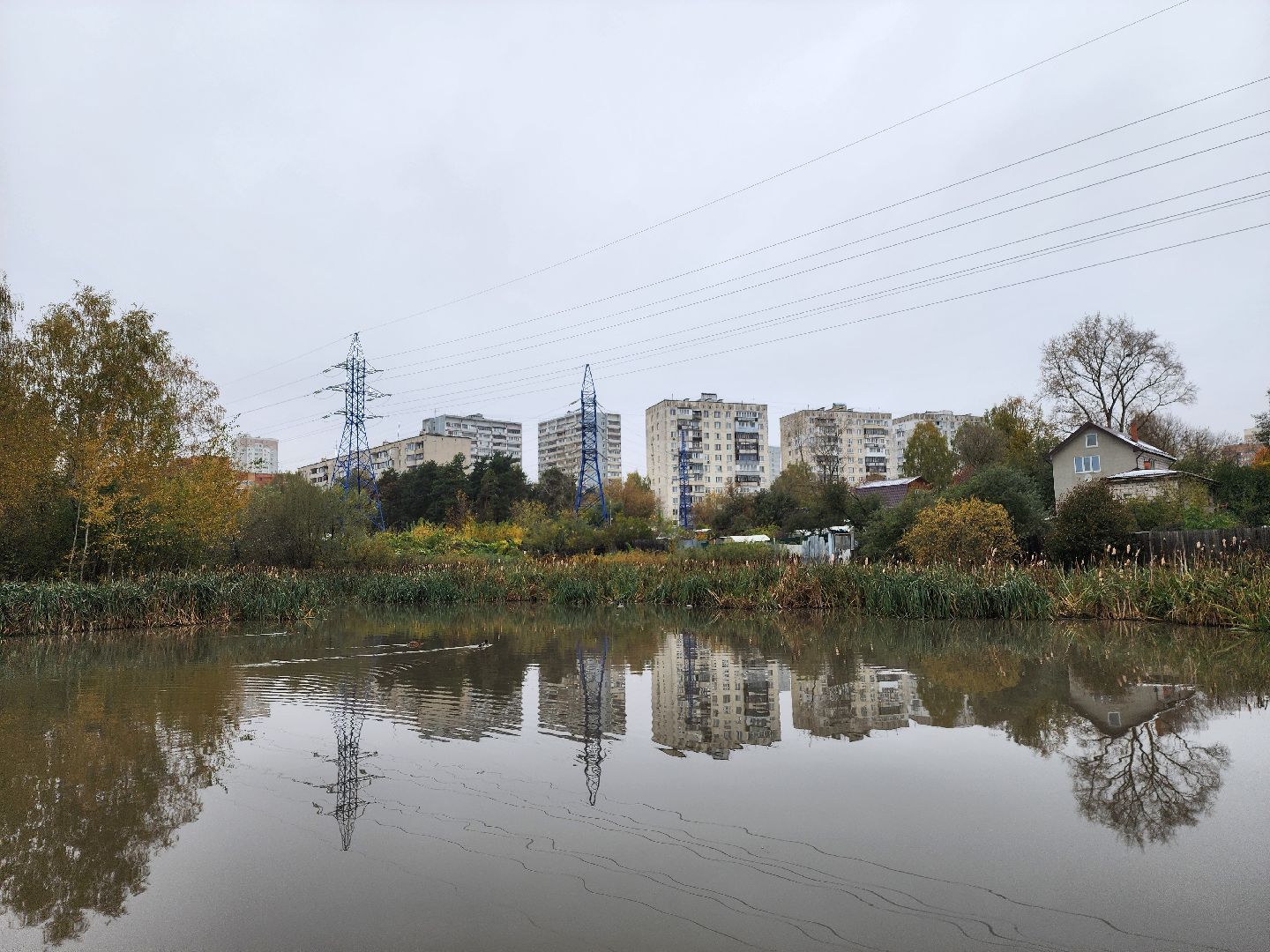 одинцово, глазынинский пруд, губкинский пруд, экология, загрязнение,