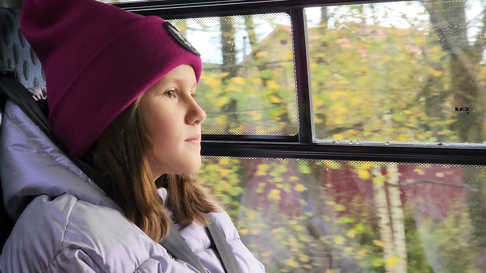 одинцово, часцы, школа, школьные автобусы,