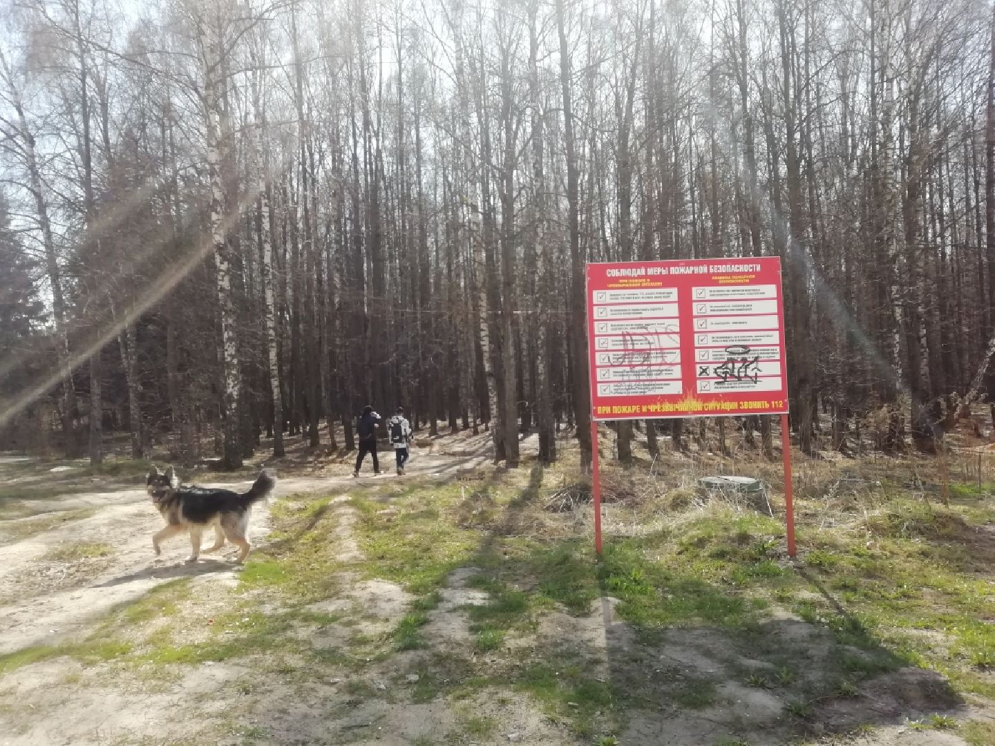 Парки Звенигорода, Супонево, благоустройство, Звенигород