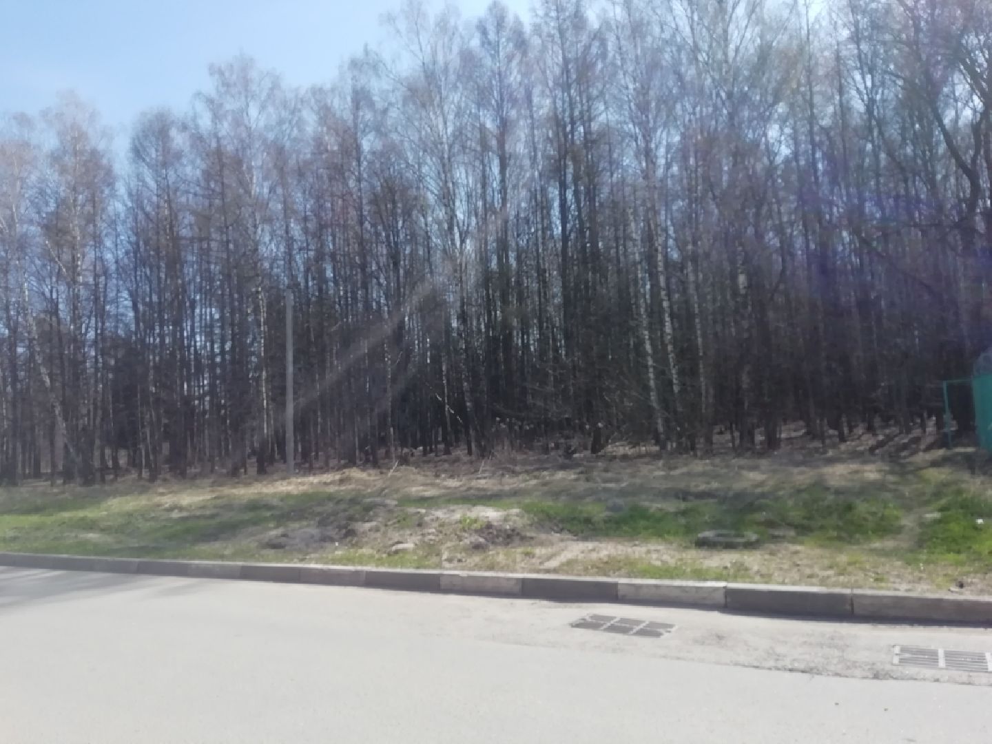 Парки Звенигорода, Супонево, благоустройство, Звенигород