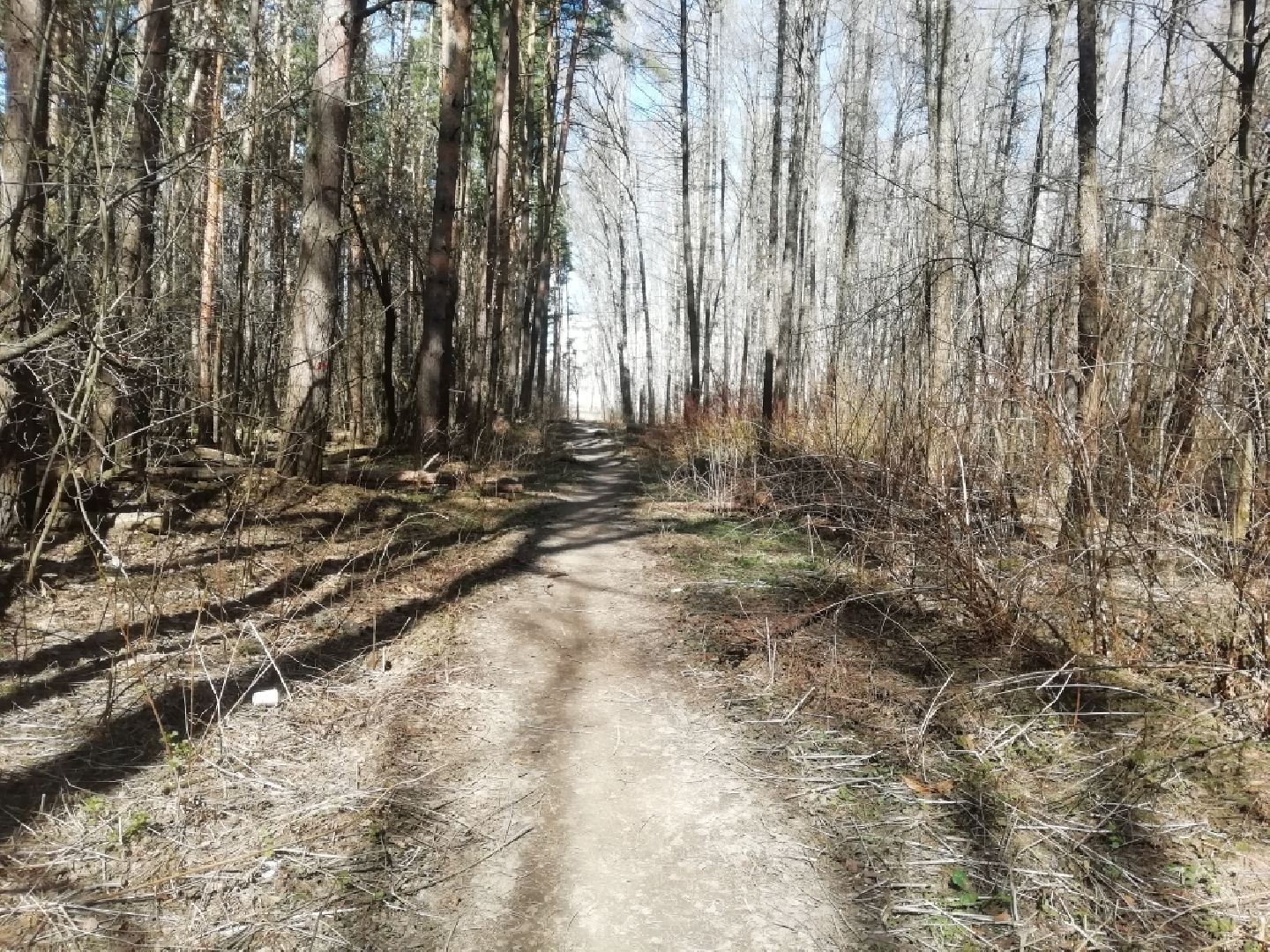 Парки Звенигорода, Супонево, благоустройство, Звенигород