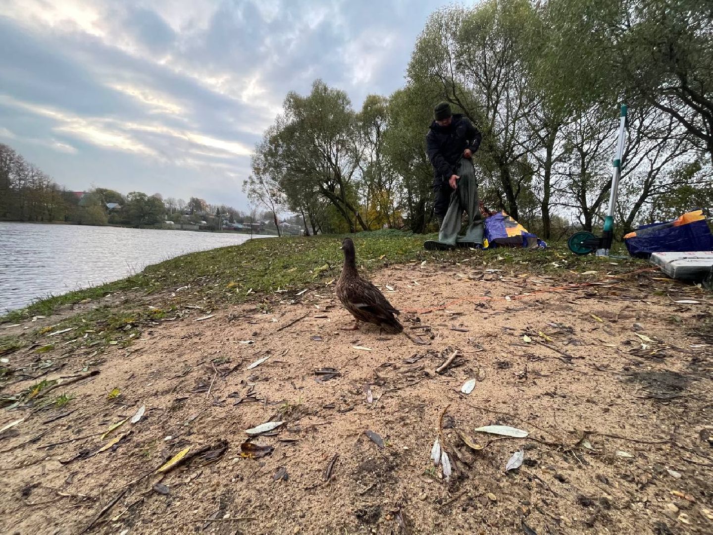 Дмитров, Орудьевская подсадная, Охота,