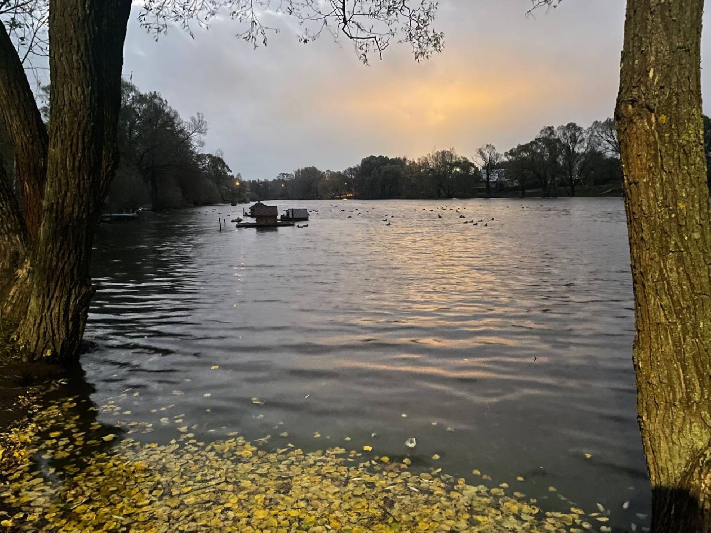 Дмитров, Орудьевская подсадная, Охота,