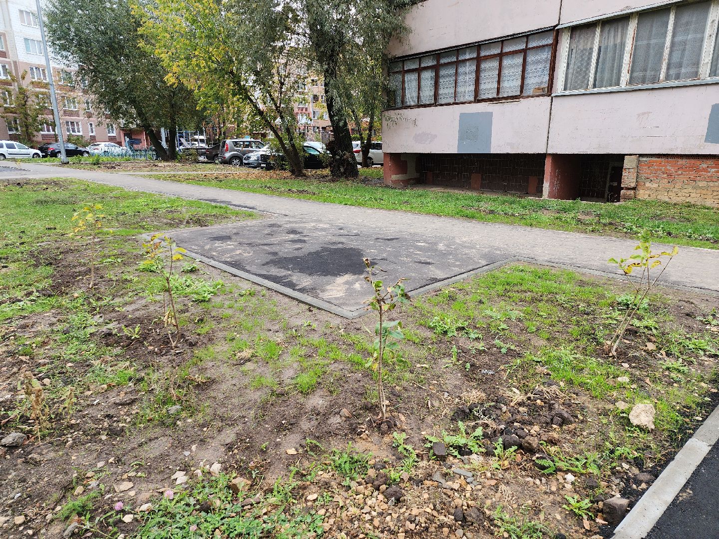 серпухов, подмосковье, новая спортивная площадка, улица Новая, комплексное благоустройство,