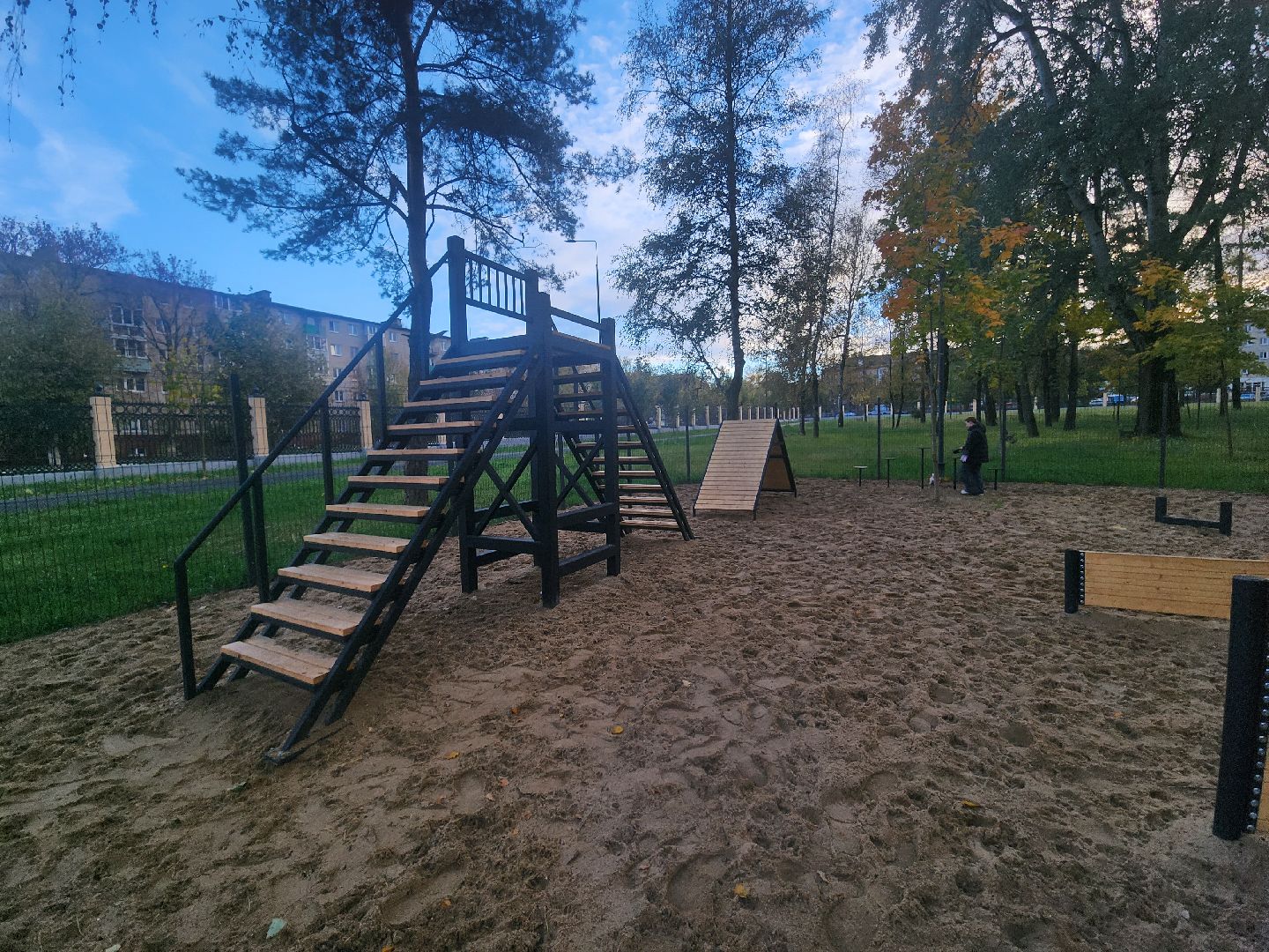 Коломна, площадка для выгула собак, благоустройство, питомцы, собака,