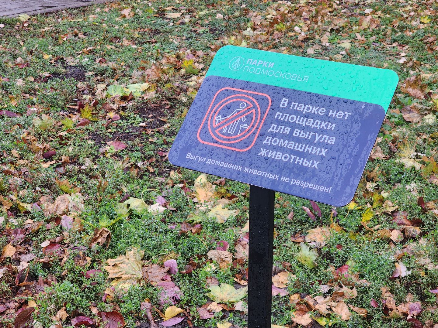 Коломна, площадка для выгула собак, благоустройство, питомцы, собака,