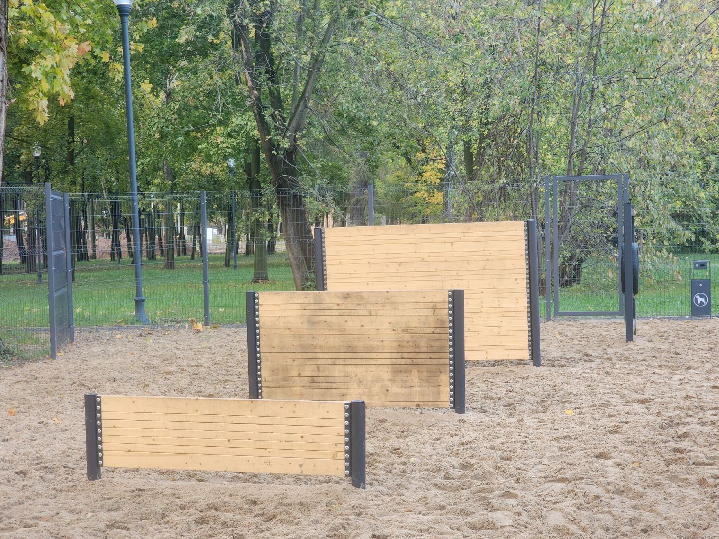 Коломна, площадка для выгула собак, благоустройство, питомцы, собака,