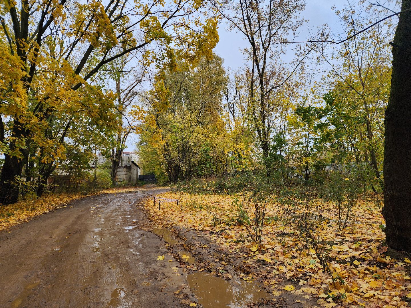 ногинск, выездная администрация, жители, общество, дороги, новый дом, строительство дороги, первый заместитель главы, богородский городской округ,