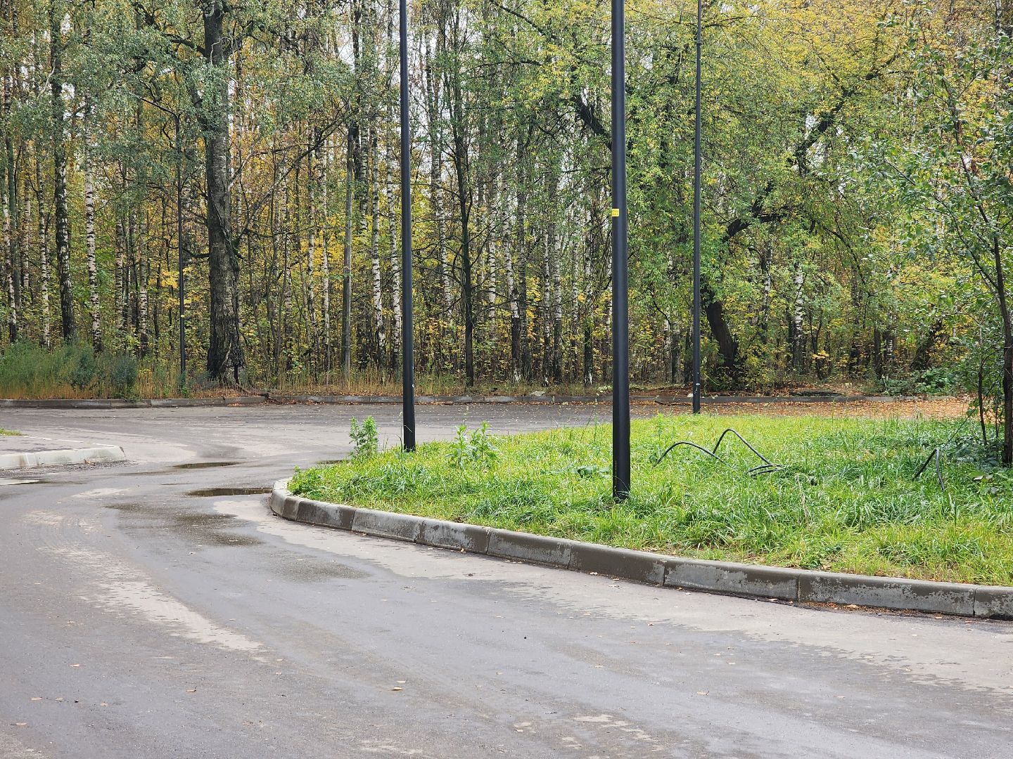 ногинск, выездная администрация, жители, общество, дороги, новый дом, строительство дороги, первый заместитель главы, богородский городской округ,