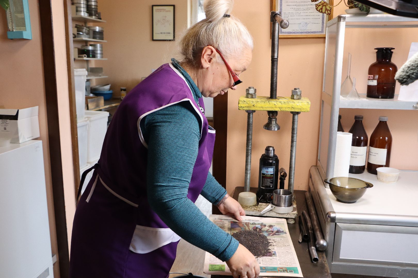 Сельское хозяйство, Серебряные Пруды, элеватор, уборочная 2024,