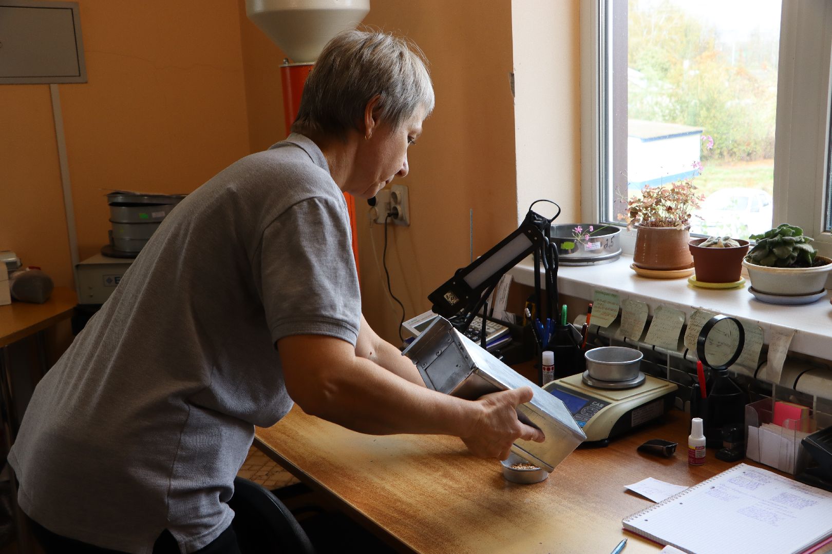 Сельское хозяйство, Серебряные Пруды, элеватор, уборочная 2024,