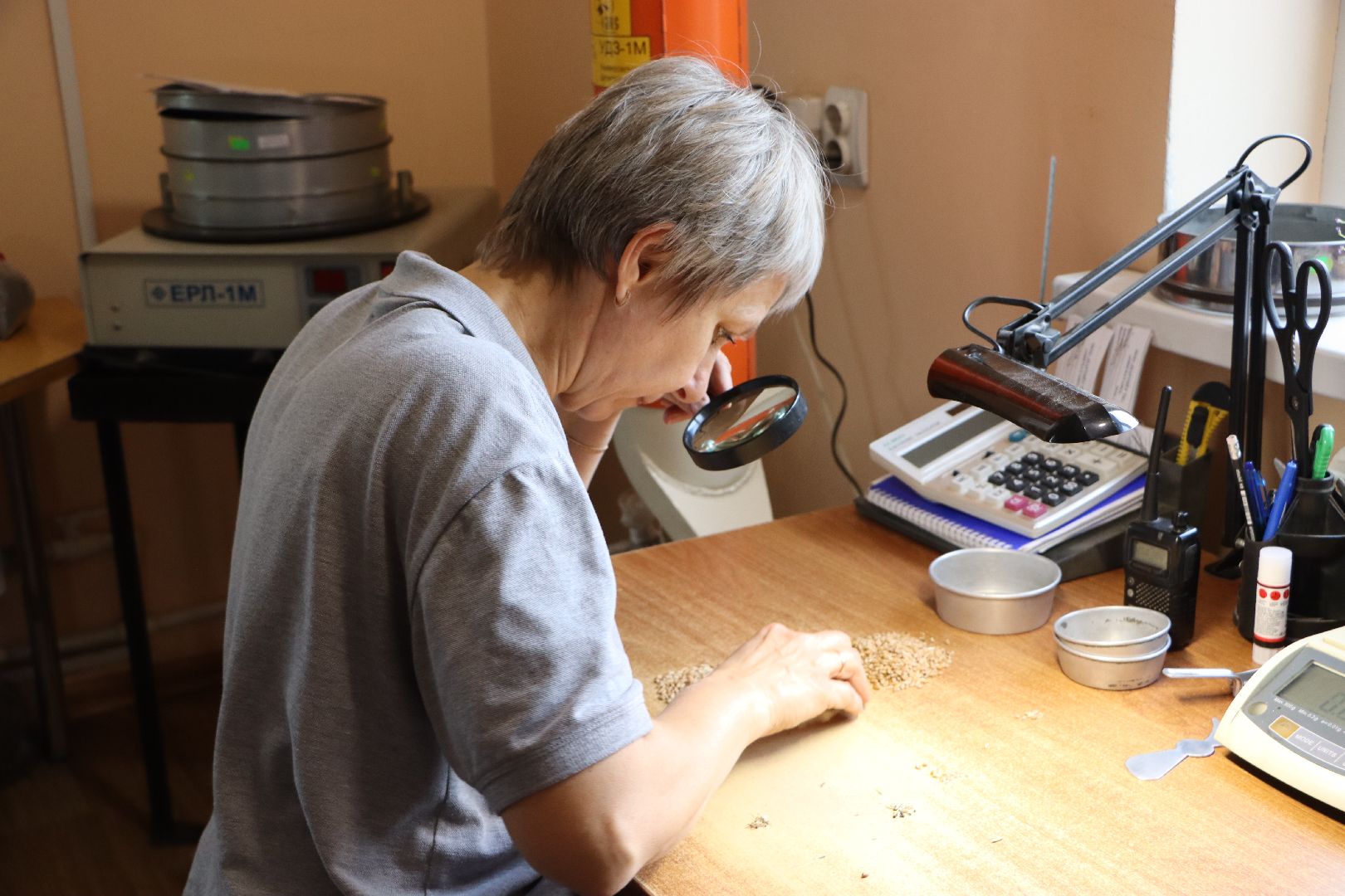 Сельское хозяйство, Серебряные Пруды, элеватор, уборочная 2024,