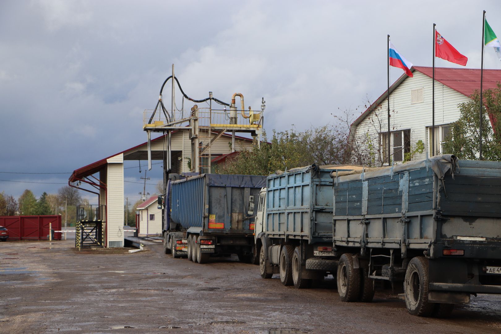 Сельское хозяйство, Серебряные Пруды, элеватор, уборочная 2024,