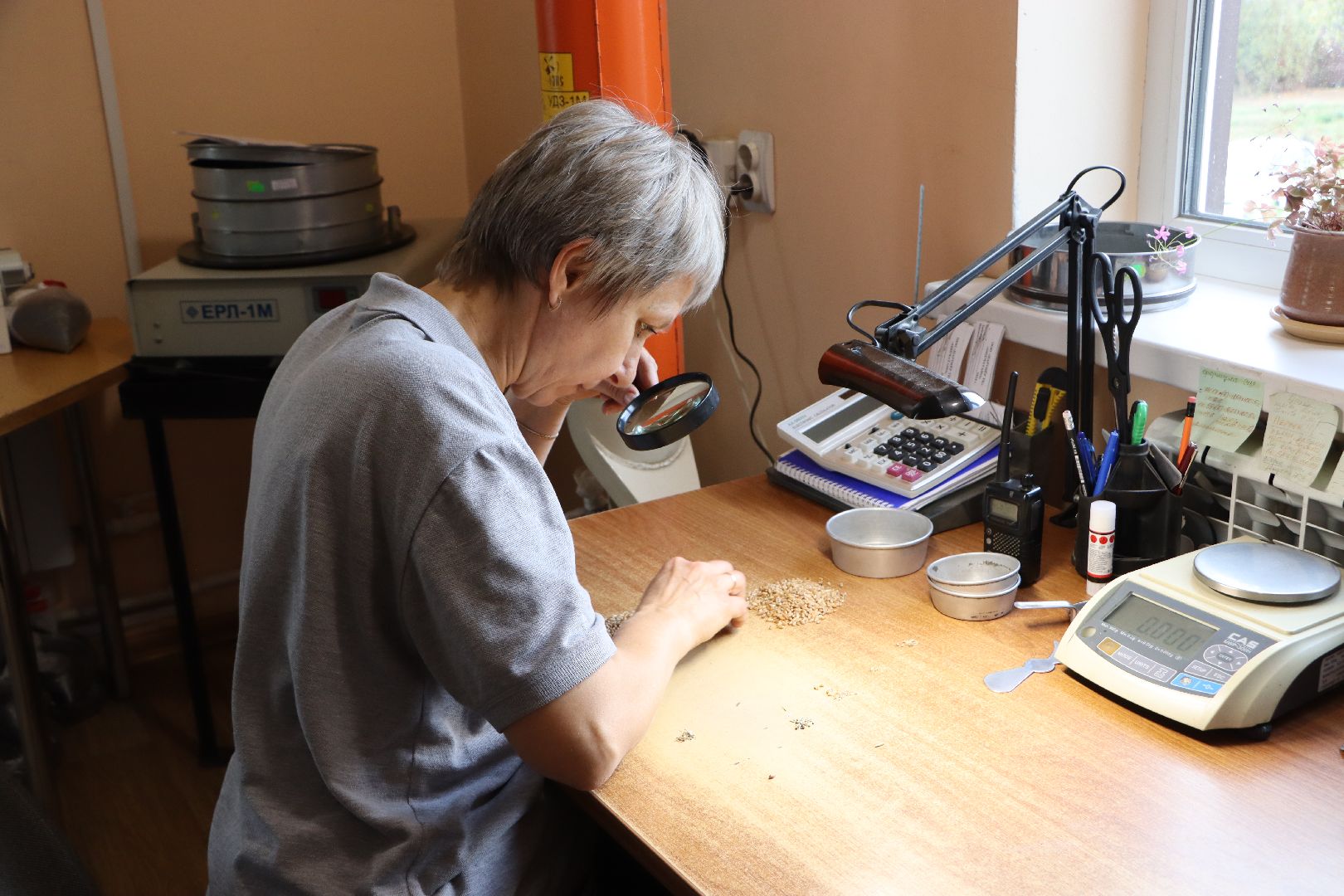 Сельское хозяйство, Серебряные Пруды, элеватор, уборочная 2024,