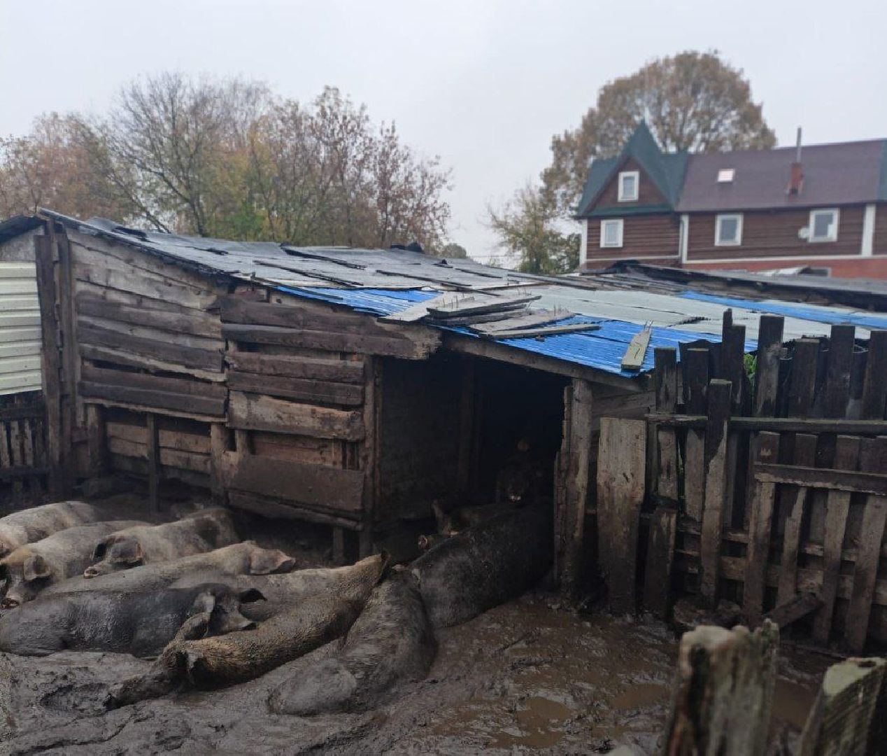 ногинск, жители, общество, выездная администрация, власть, богородский городской округ, новое подвязново, дороги, благоустройство,