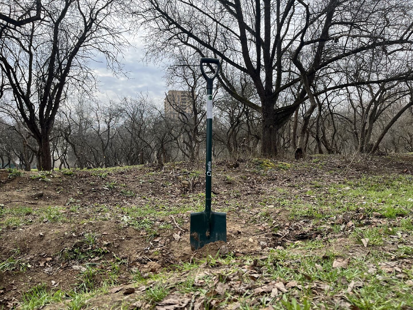 Наро-Фоминск, субботник, чистое Подмосковье, Наро-Фоминский городской округ, чистый двор