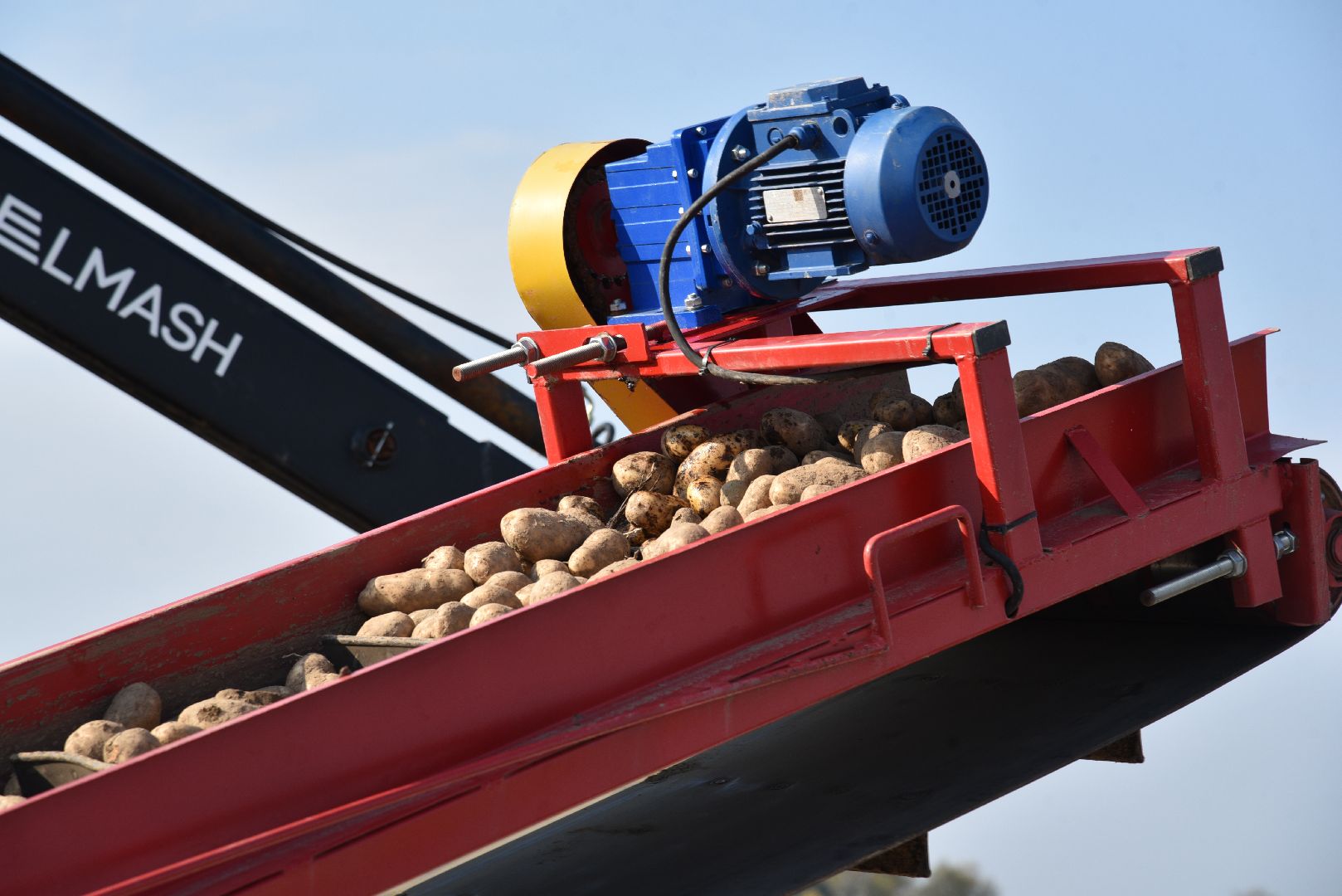 лотошино, сельское хозяйство, картофель,